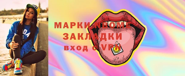 шишки Белокуриха