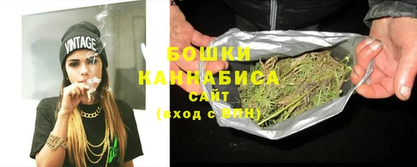 шишки Белоозёрский