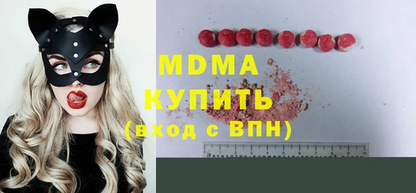 шишки Белоозёрский