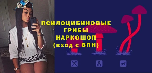 шишки Белоозёрский