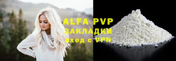 шишки Белокуриха
