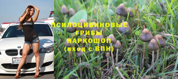 шишки Белоозёрский