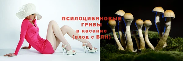шишки Белокуриха