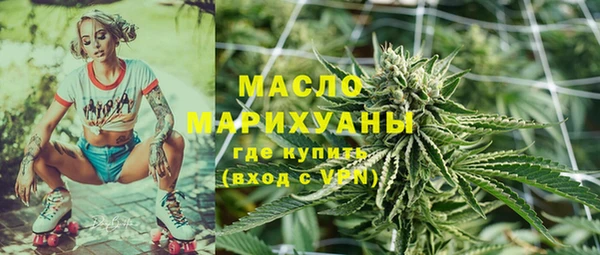 шишки Белокуриха