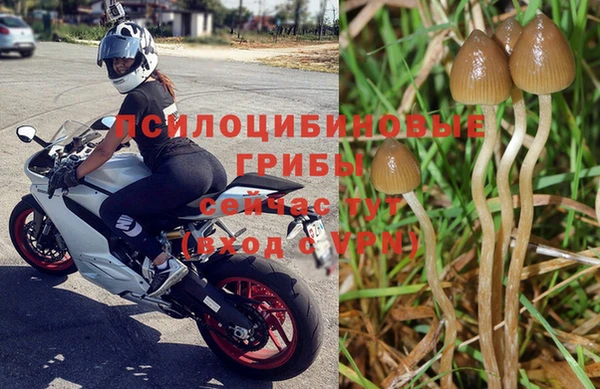 прущая мука Беломорск