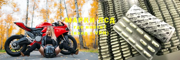 шишки Белоозёрский