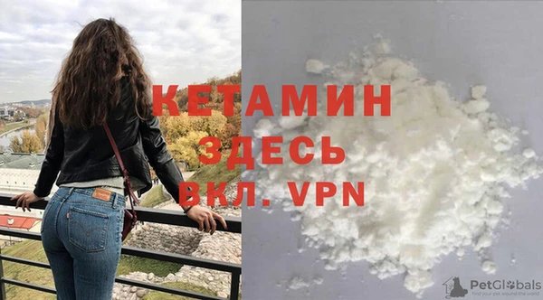 шишки Белокуриха
