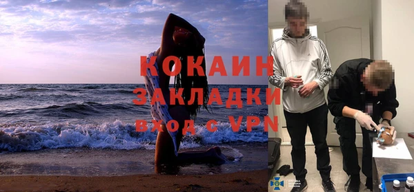 шишки Белоозёрский