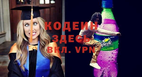 шишки Белокуриха
