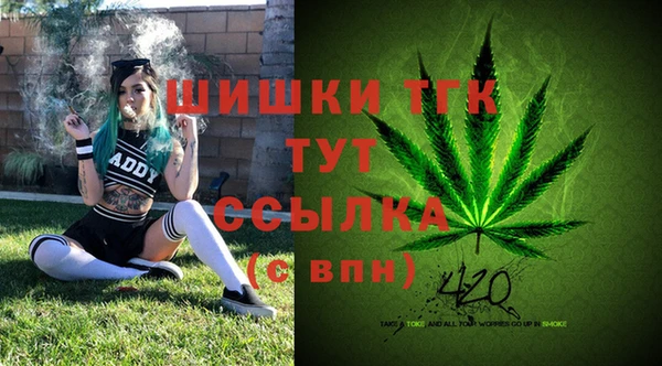 шишки Белокуриха