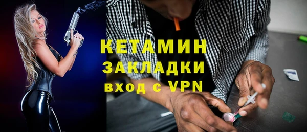 шишки Белоозёрский