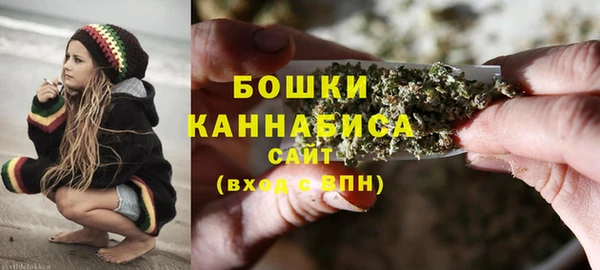 шишки Белокуриха