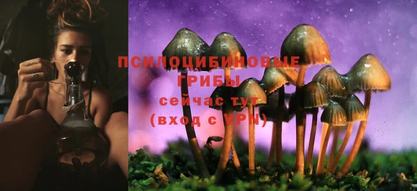 шишки Белокуриха