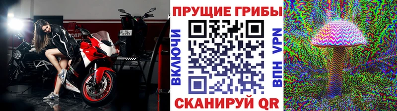 Купить закладки  Чишмы  Галлюциногенные грибы мицелий 
