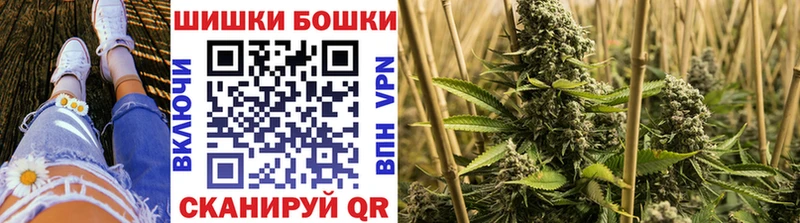 Бошки Шишки планчик  Купить  Чишмы 
